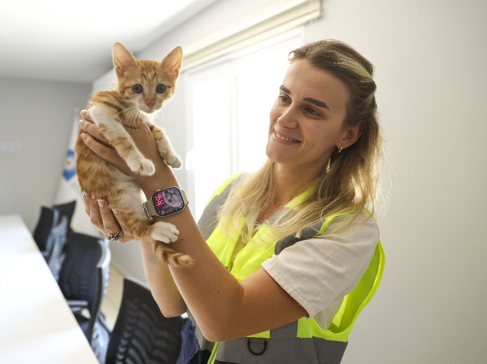 Antalya'da çaya düşen kedi kurtarıldı