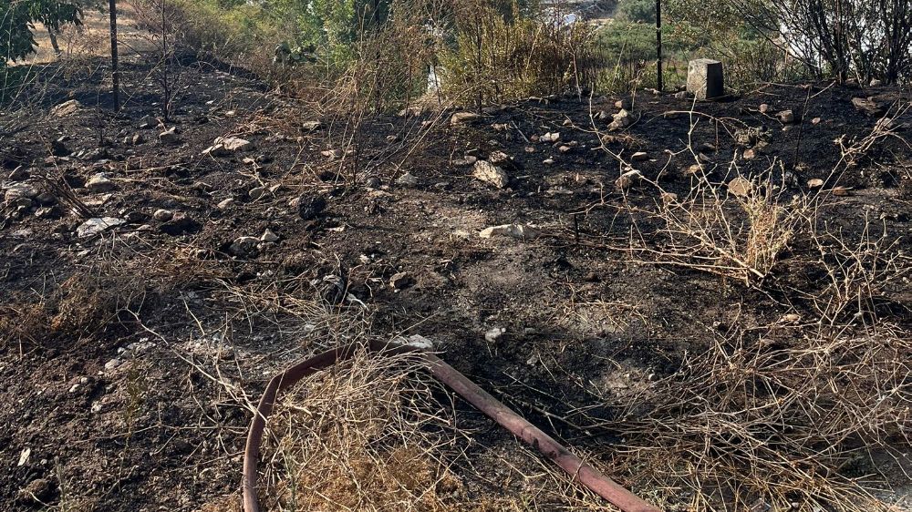 Antalya'da otluk alanda çıkan yangın korkuttu