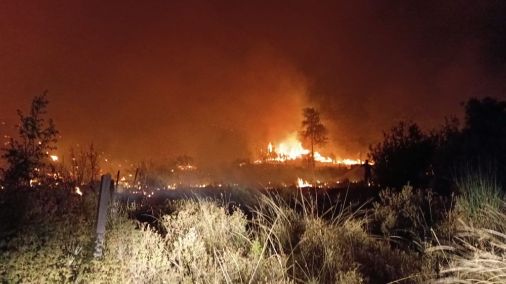Antalya'da tarım arazisinden ormana sıçrayan yangın korkuttu