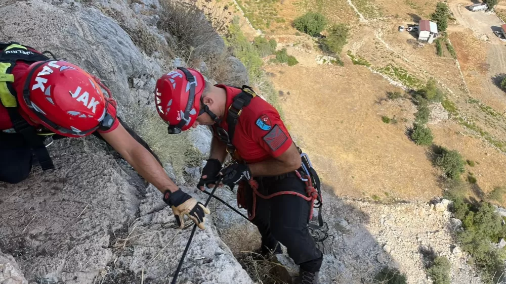 Antalya'da uçurumda mahsur kalan keçi 3 gün sonra kurtarıldı