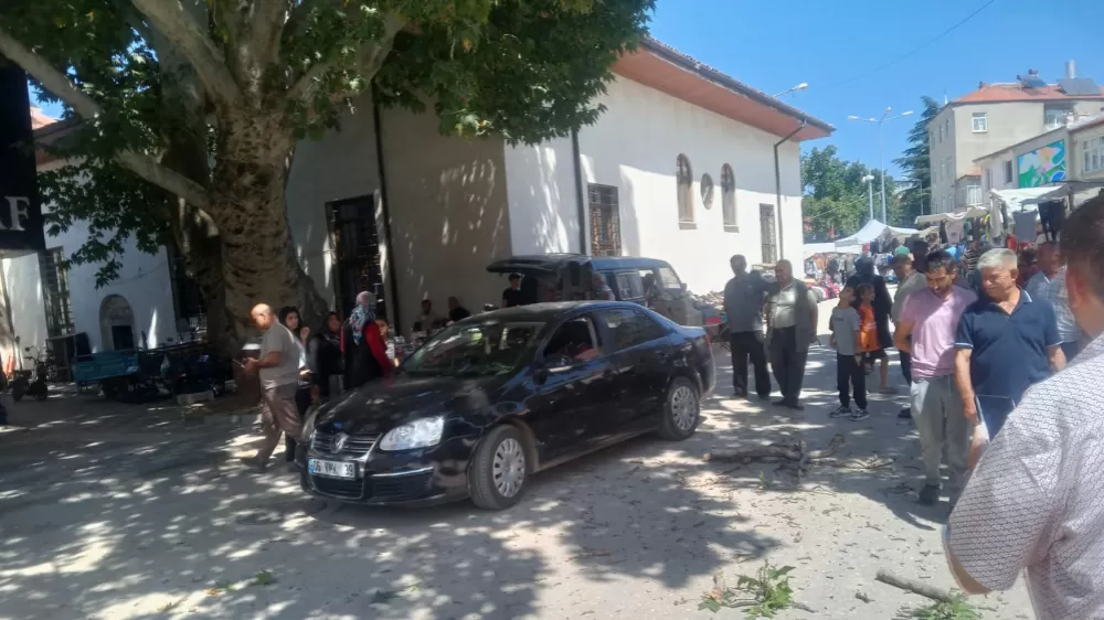 Asırlık çınarın dalı otomobilin üzerine düştü