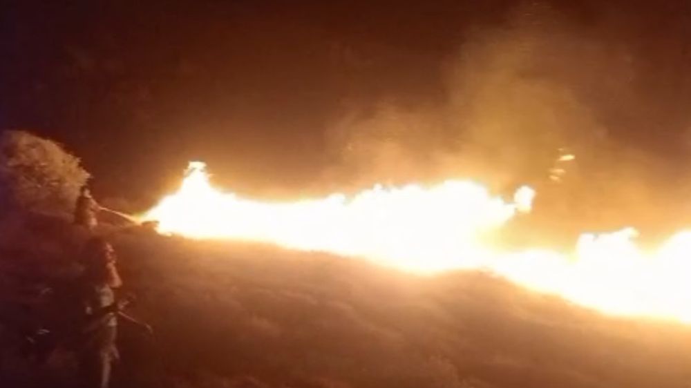 Avşa Adası’nda çıkan arazi yangını kontrol altına alındı