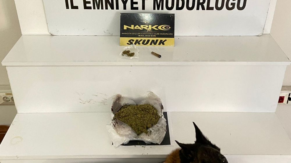 Balıkesir'de 485 gram esrar ele geçirildi
