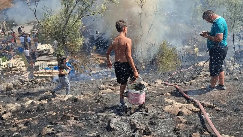 Bodrum’da otluk ve zeytinlik alanda alevler yükseldi