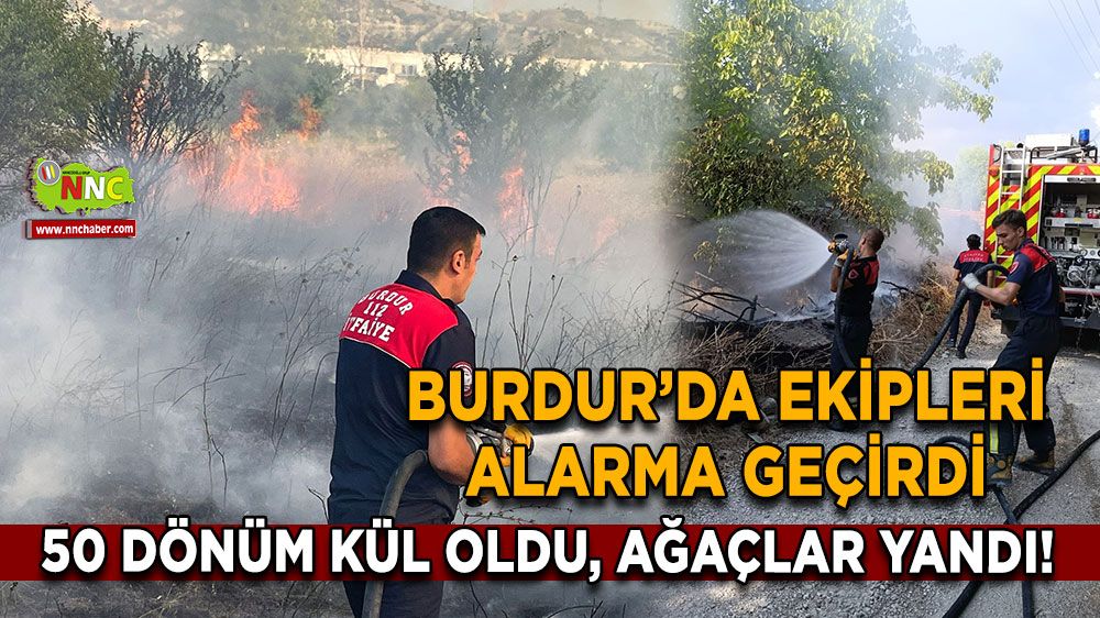 Burdur’da ekipleri alarma geçirdi 50 dönüm kül oldu, ağaçlar yandı!
