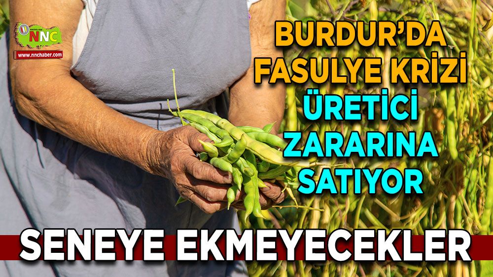 Burdur’da fasulye krizi Üretici zararına satıyor Seneye ekmeyecekler