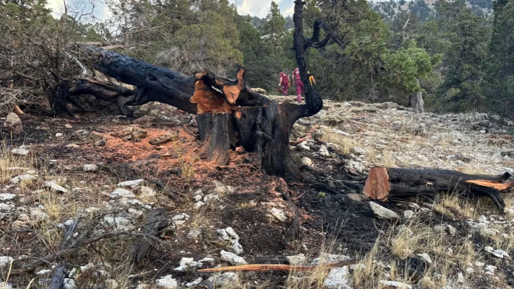 Burdur Gölhisar'da Yıldırım düştü yangın çıktı 