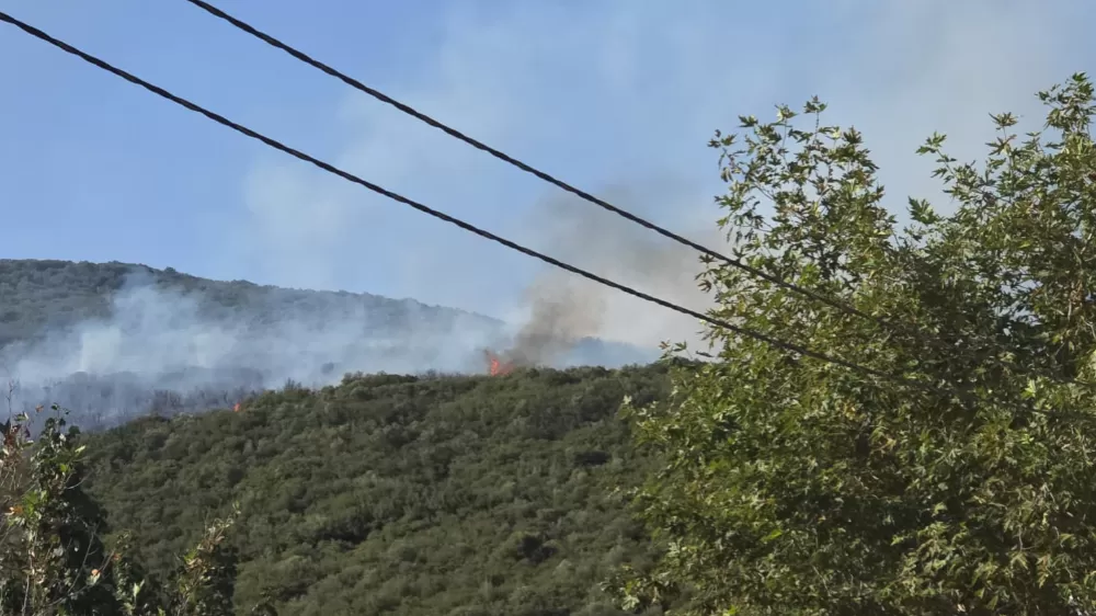 Bursa'da orman yangını! Kontrol altına alındı