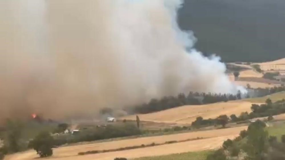 Bursa’da orman yangınına havadan ve karadan müdahale