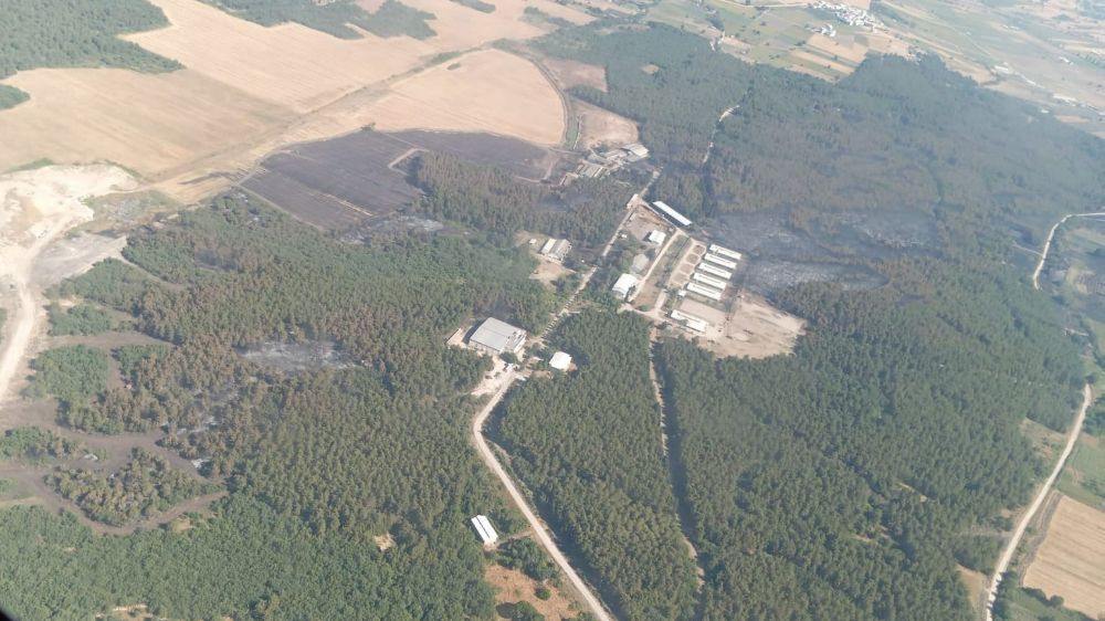 Bursa'da yanan alanlar hızla yeşillendirilecek