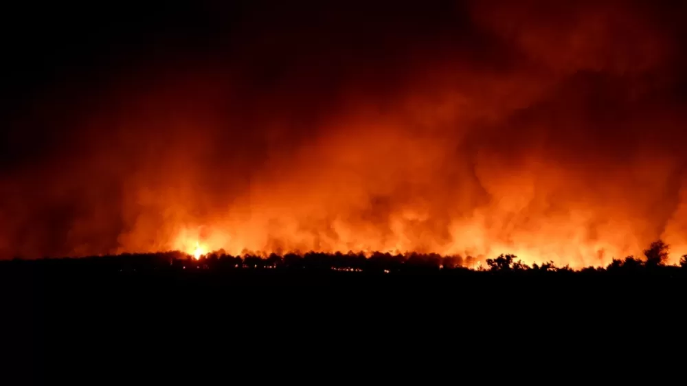 Bursa, Zonguldak, Bartın, Muğla, Balıkesir'deki orman yangınlar kontrol altına alındı