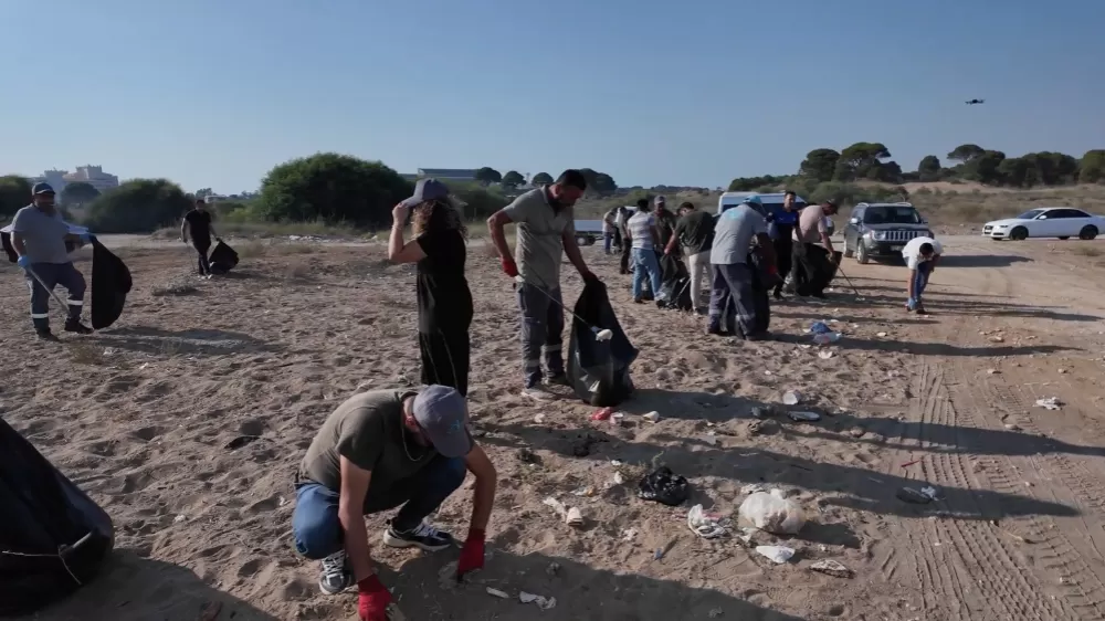 Caretta Carettaların yuvası Kumköy Sahili'nde geniş çaplı temizlik