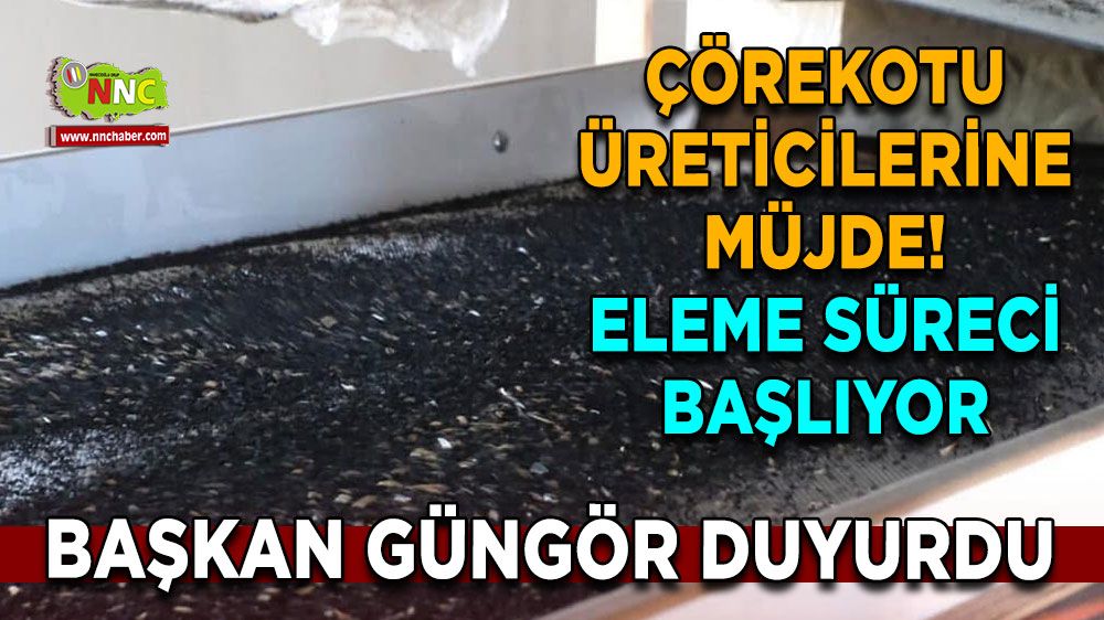 Çörekotu üreticilerine müjde! Eleme süreci başlıyor Başkan Güngör duyurdu