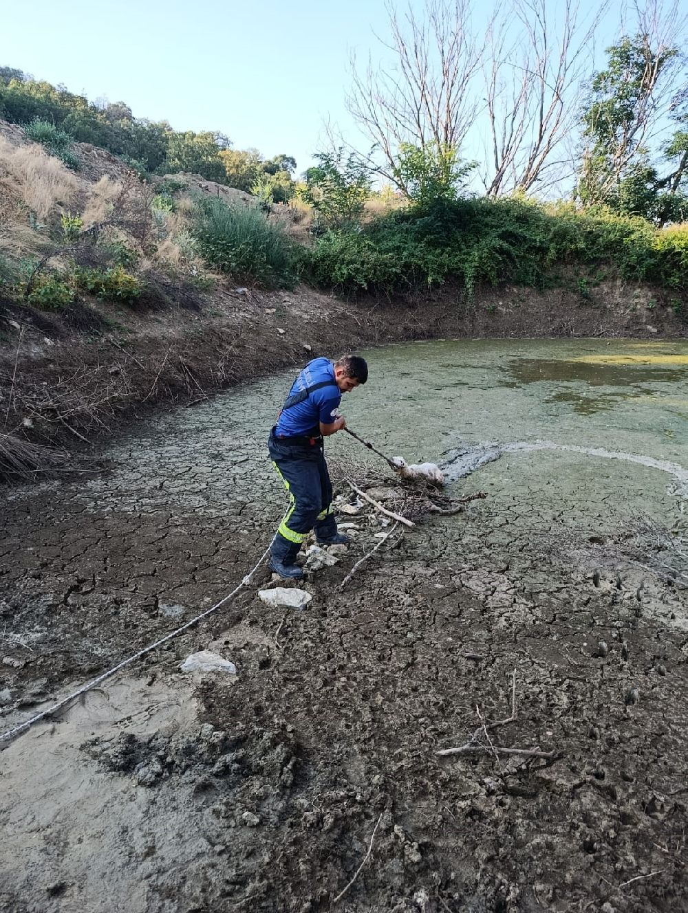 Denizli'de gölete düşen kuzu için zorlu operasyon