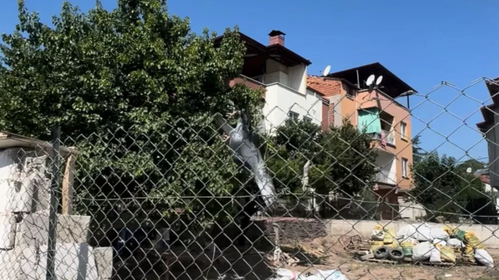 Denizli'de tele takılan güvercinleri muhtar kurtardı