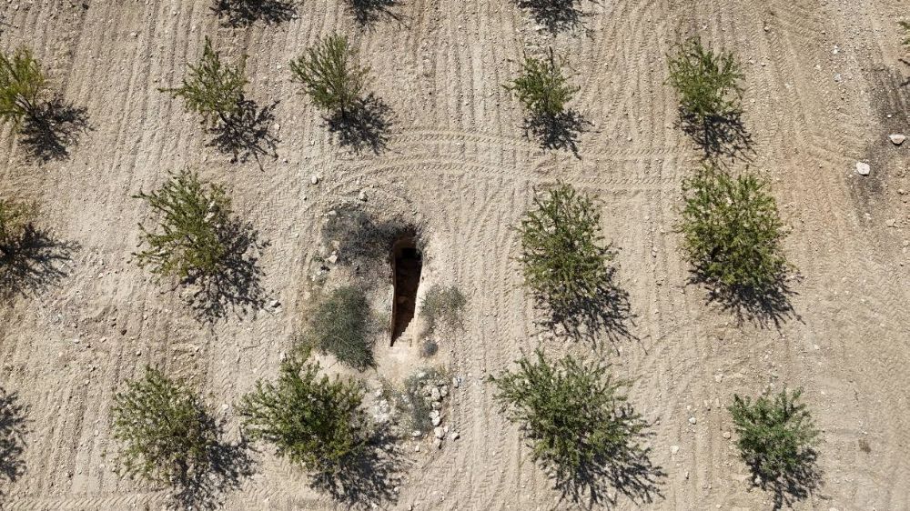 Fıstık tarlasından binlerce yıllık kaya mezarı çıktı