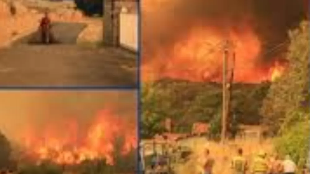 İspanya yanıyor  büyük çaplı orman yangınlarının sayısı 20’ye yükseldi