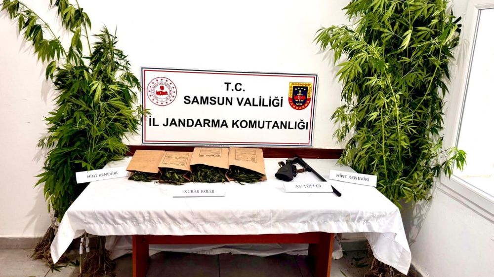 Jandarma kubar esrar ve kenevir ele geçirdi