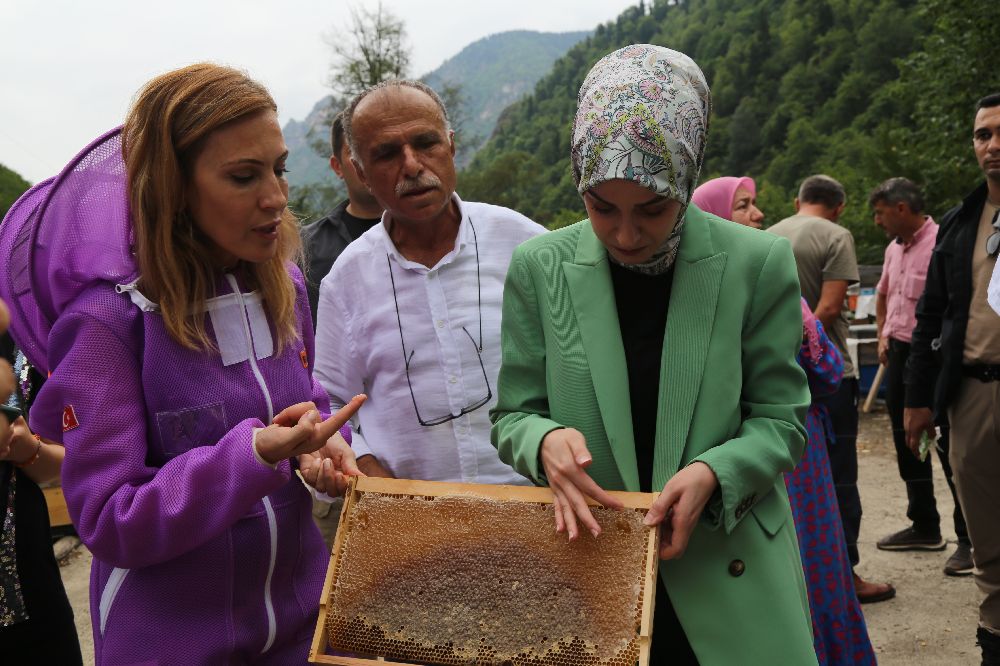 Kafkas arısının gen merkezinde bal hasadı gerçekleşti