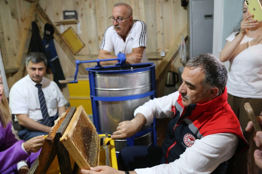 Kafkas arısının gen merkezinde bal hasadı gerçekleşti