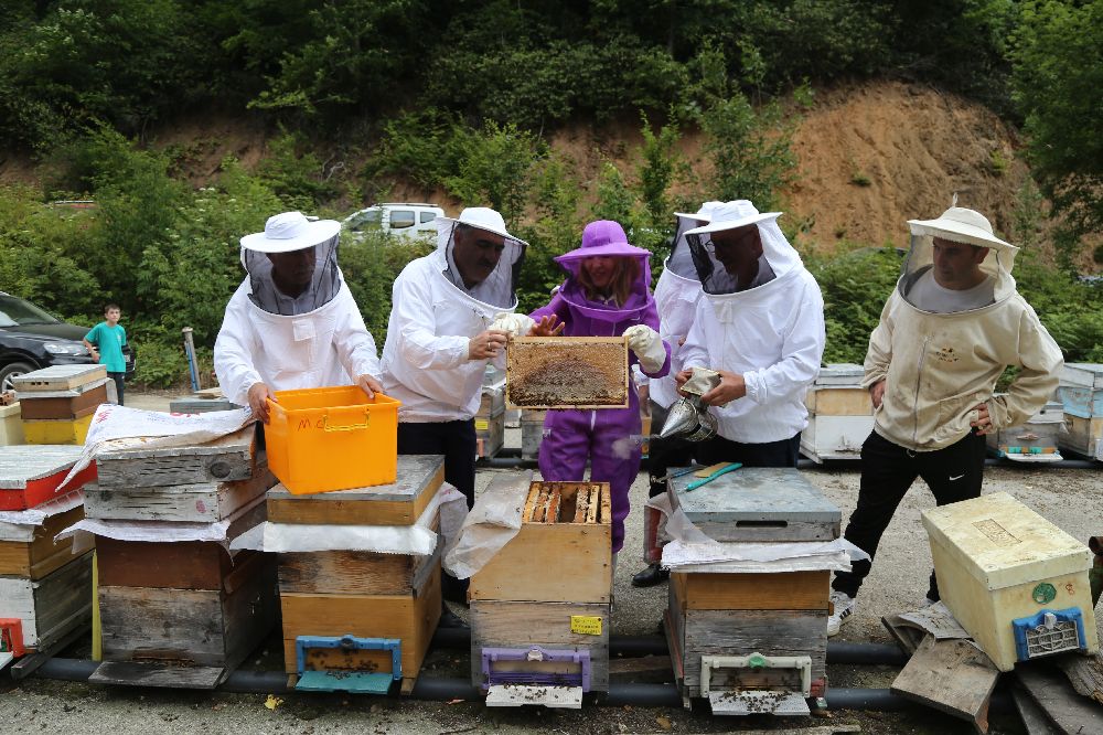 Kafkas arısının gen merkezinde bal hasadı gerçekleşti