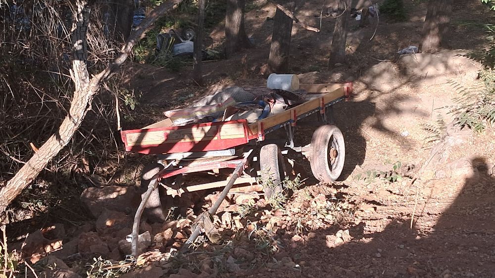  Karaman'da at arabası şarampole yuvarlandı: 4 yaralı