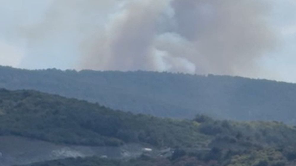 Kastamonu'da orman yangını! Söndürme çalışmaları devam ediyor