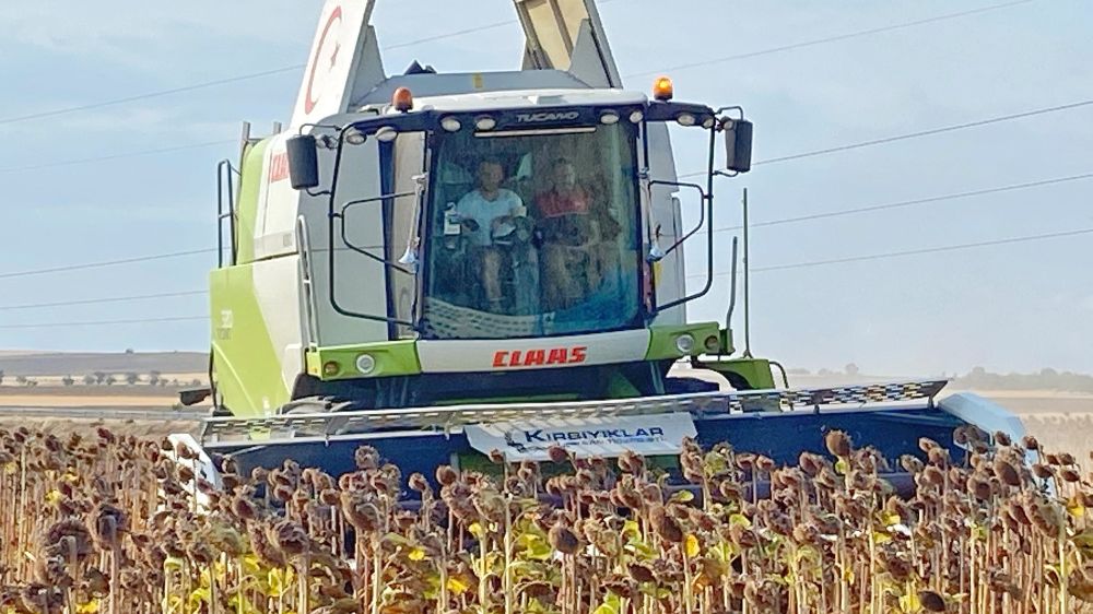 Kaymakam Özderin, ayçiçeği hasadına katıldı