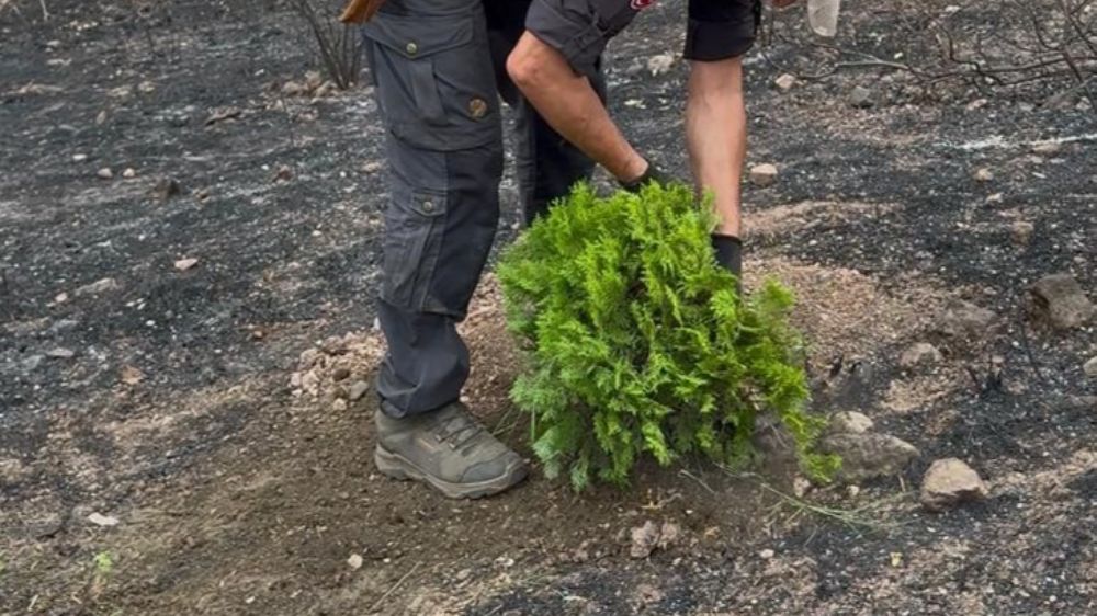 Kül olan topraklara umut ekti