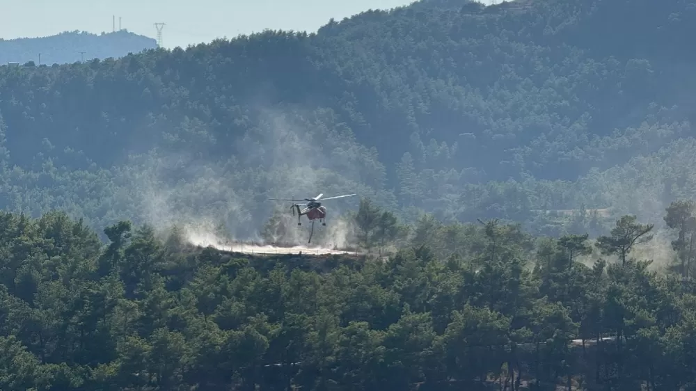 Manavgat'ta ormanlık alanda yangın