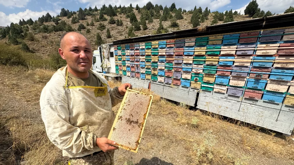 Mobil tır ile bal üretiyor kovanları indirmeden Toros Dağları'nı karış karış geziyor