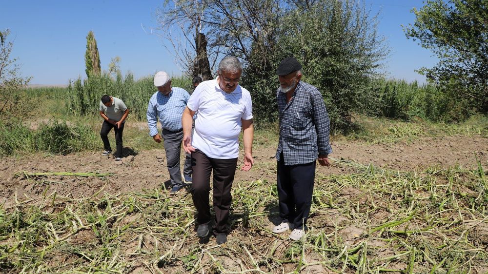 Nuribey’de dolu zararı Hasar tespiti ve çiftçilere destek sözleri