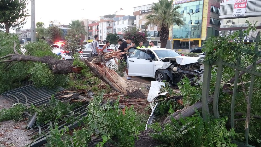 Ortalığın savaş alanına döndüğü kazada kimsenin burnu bile kanamadı