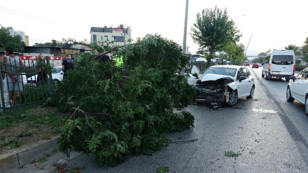 Ortalığın savaş alanına döndüğü kazada kimsenin burnu bile kanamadı