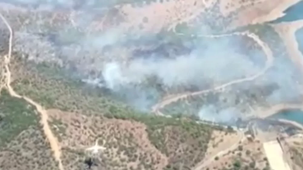 Seferihisar'da orman yangını! Paniğe sebep oldu