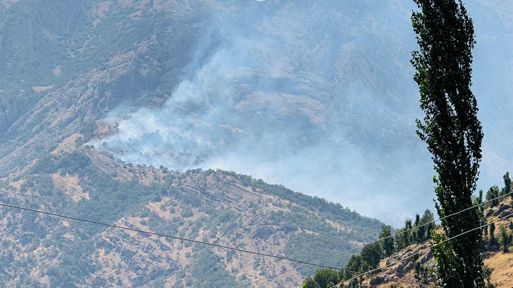 Şırnak’ta orman yangını 3 saattir devam ediyor