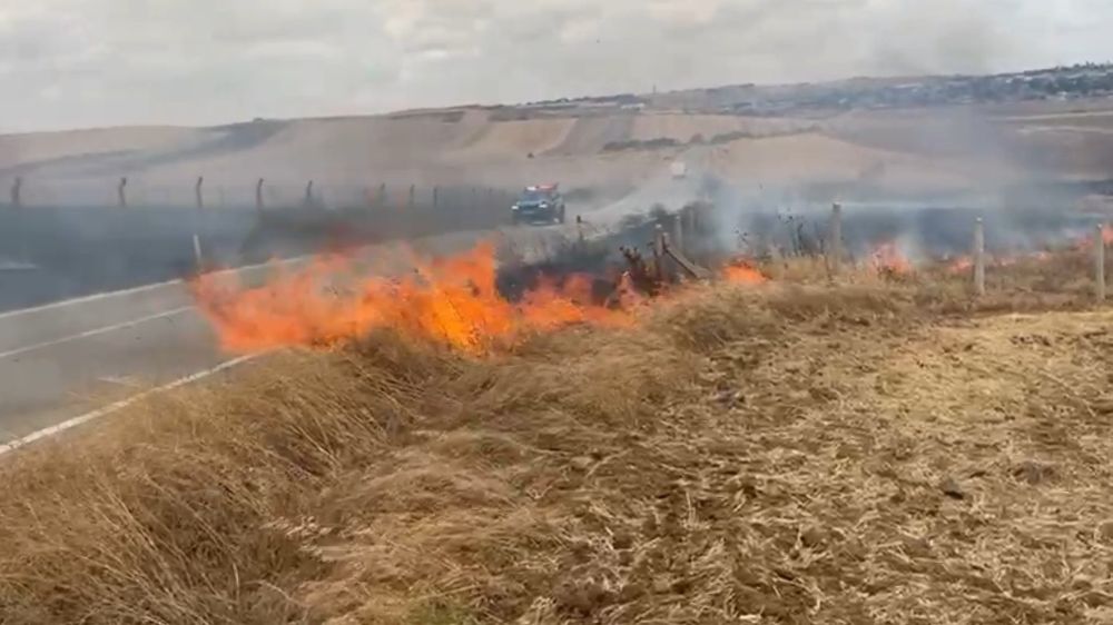 Tekirdağ'da çıkan yangın yerleşim alanlarını tehdit etti
