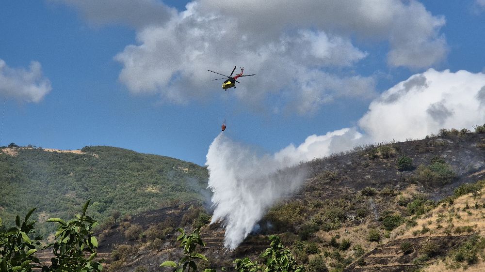 Tekirdağ'daki makilik yangını kontrol altına alındı