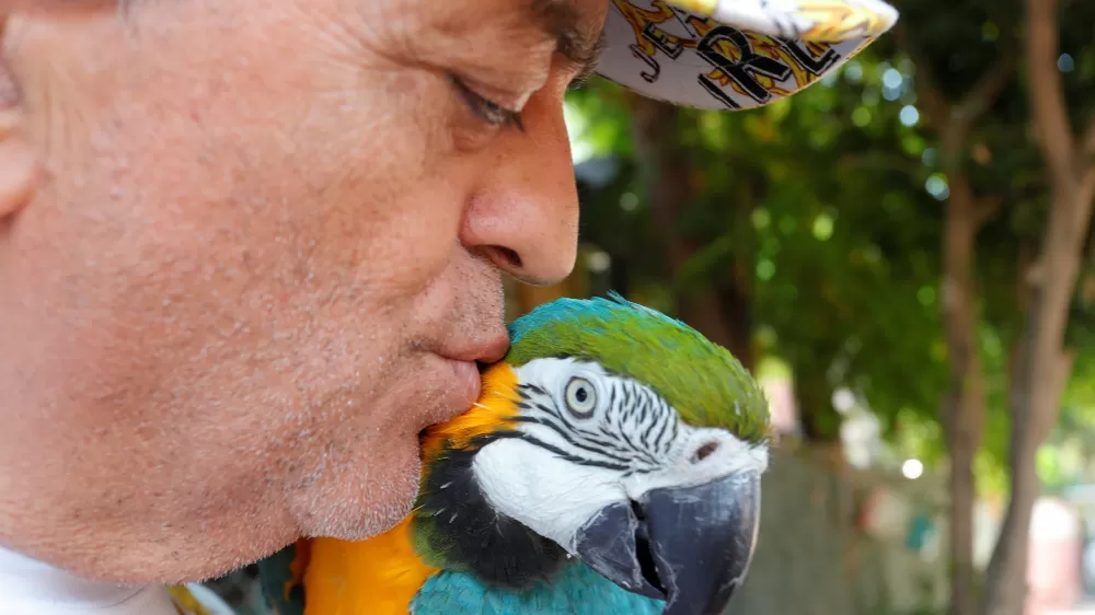 Turgut Özal'ın kaybolan papağanı 3 gün sonra bulundu