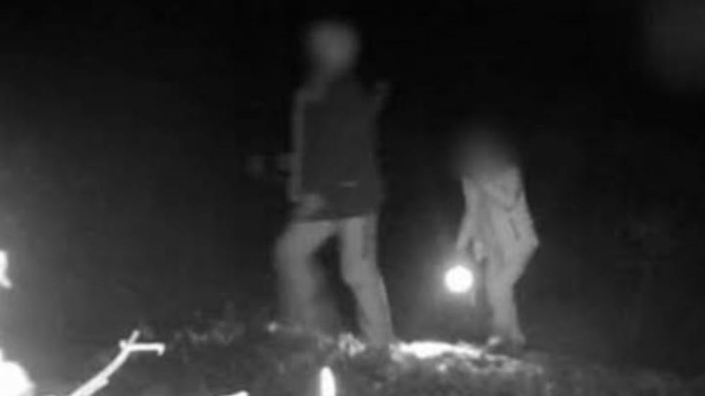 Yaban hayatını gözlemleyen fotokapan, kaçak avcıları ele verdi