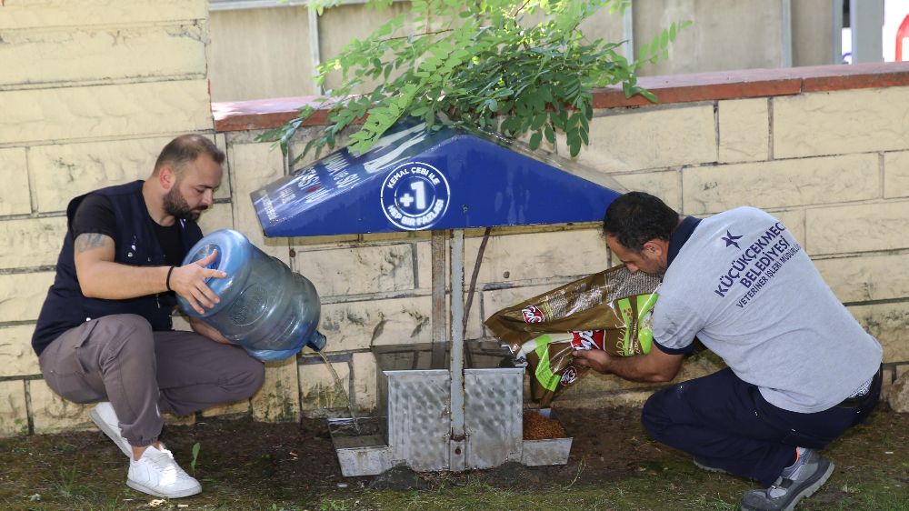 Yazın sıcak günlerinde Küçükçekmece Belediyesi’nden sokak hayvanlarına can suyu çağrısı
