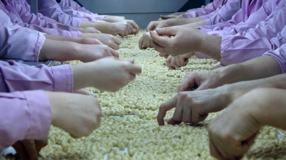 Yedi ayda 14 bin 348 ton iç fındık ihraç edildi