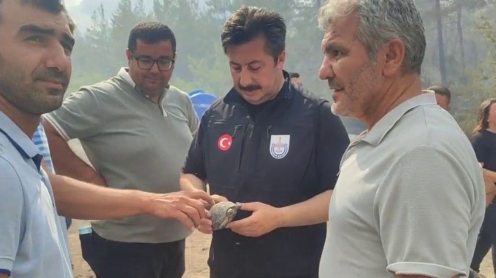 Yenişehir Belediye Başkanı Özel, yangından etkilenen kaplumbağaya suyla müdahale etti