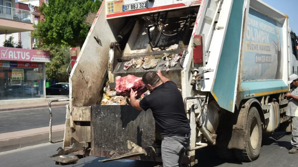 Yumurta paketinden hamam böceği yumurtaları çıktı, yapılan denetimden çıkanlar şoke etti