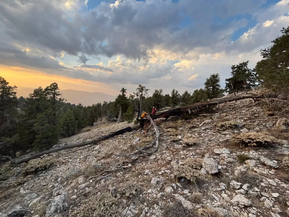 Burdur Gölhisar'da Yıldırım düştü yangın çıktı