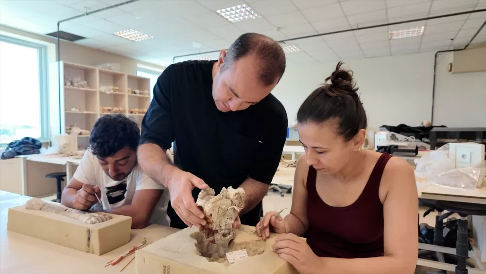 MAKÜ’lü akademisyenlerce 9 milyon yıllık fosiller gün yüzüne çıkarılıyor