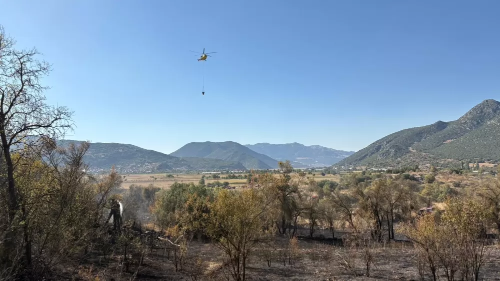 Makmak'ta orman yangını Ekipler tarafından söndürüldü