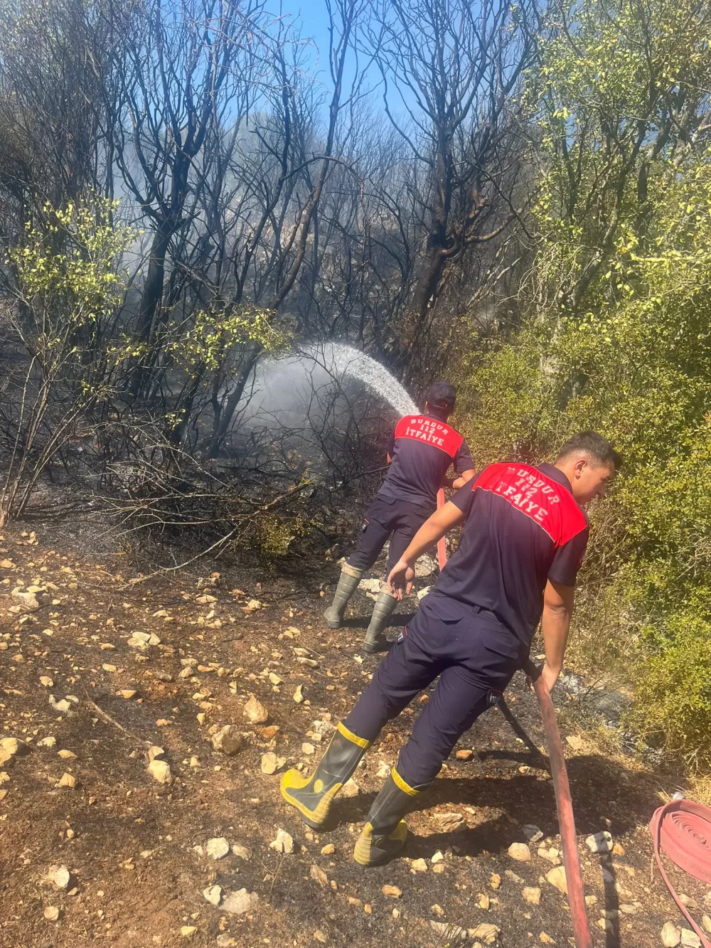 Ağlasun'da orman yangını kontrol altında! Başkan Ercengiz bölgede bilgi aldı
