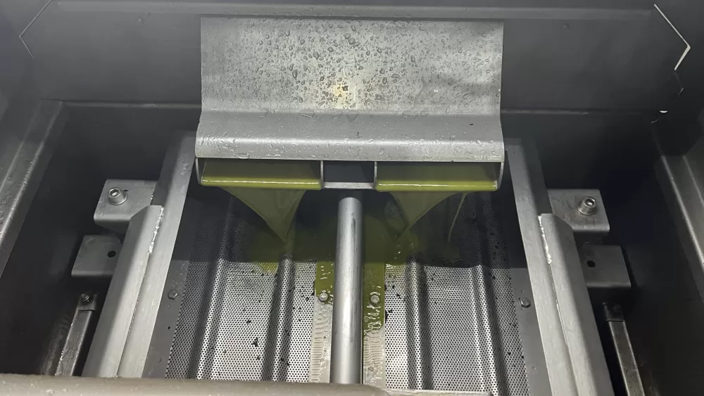 Marmara bölgesinin ilk zeytinyağı sıkımı gerçekleşti