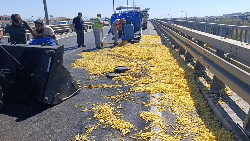Kamyonet bariyerlere çarptı, kilolarca patates yola saçıldı